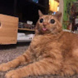 Meet your Posher, Bethany